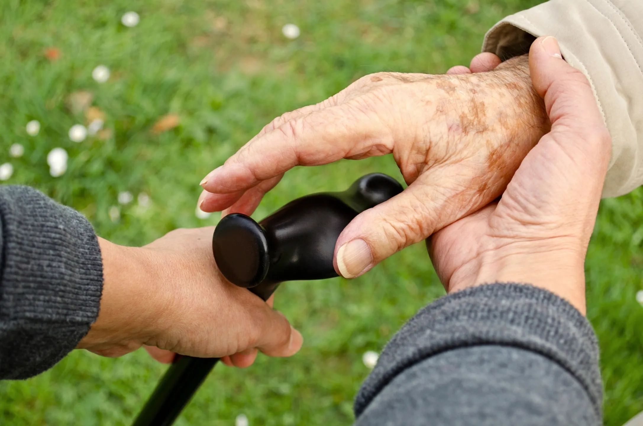 Osteoarthritis: Proper Nutrition For Prevention