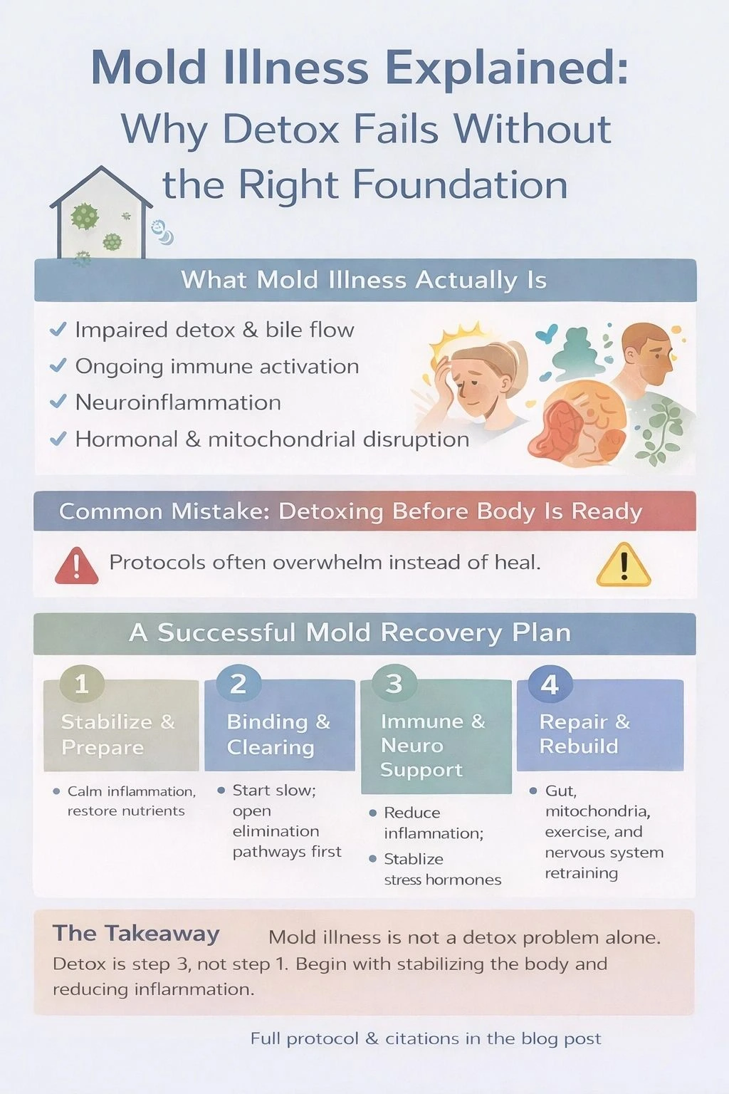 Mold Illness: Why Detox Fails Without the Right Foundation